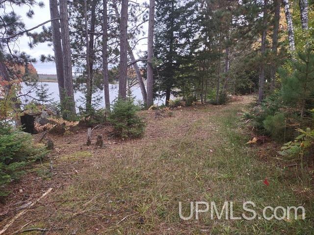 5800 Wolf Lake Road Property Photo 26