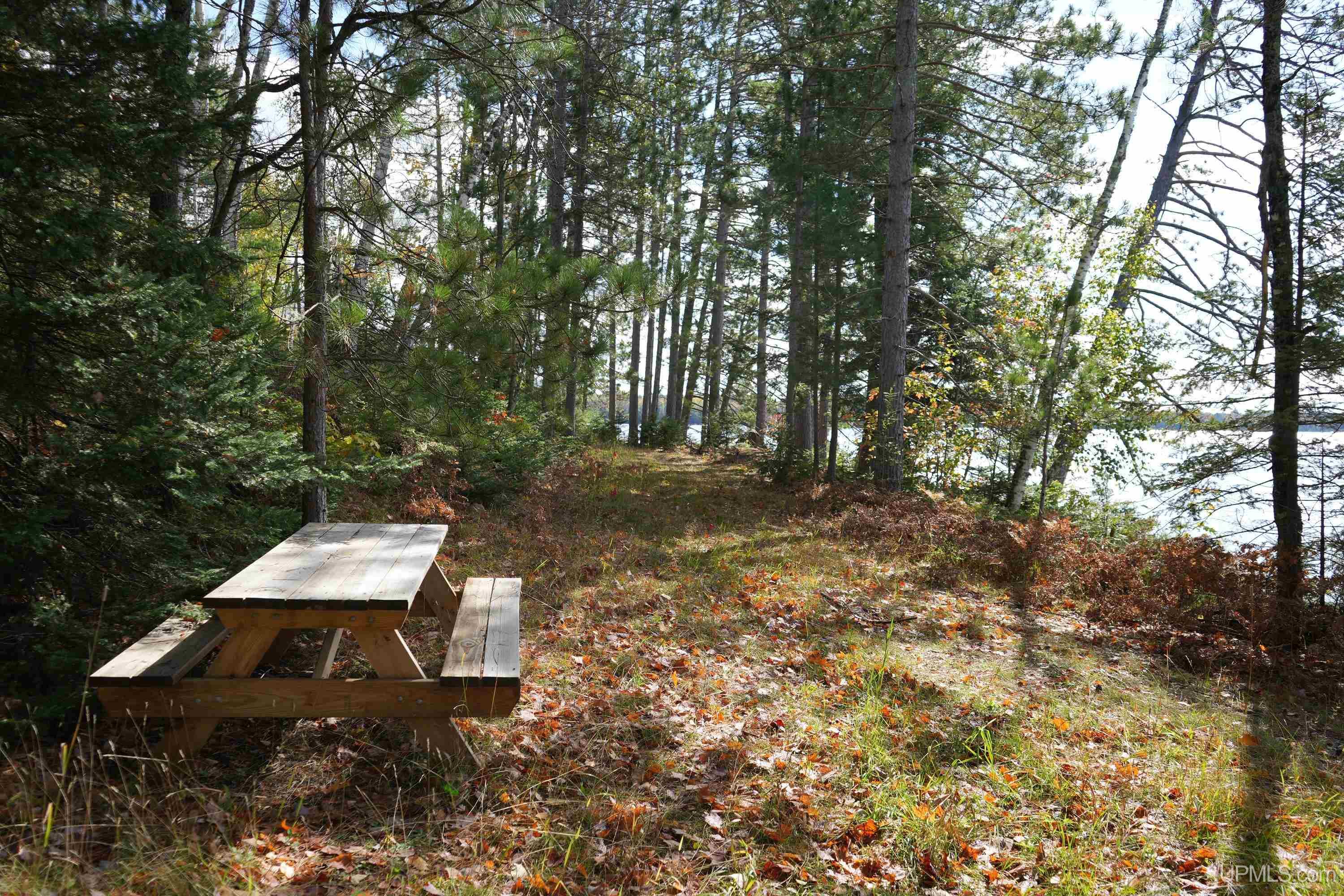 5800 Wolf Lake Road Property Photo 29