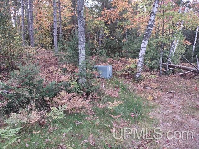 5800 Wolf Lake Road Property Photo 40