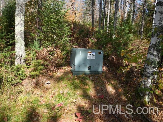 5800 Wolf Lake Road Property Photo 41