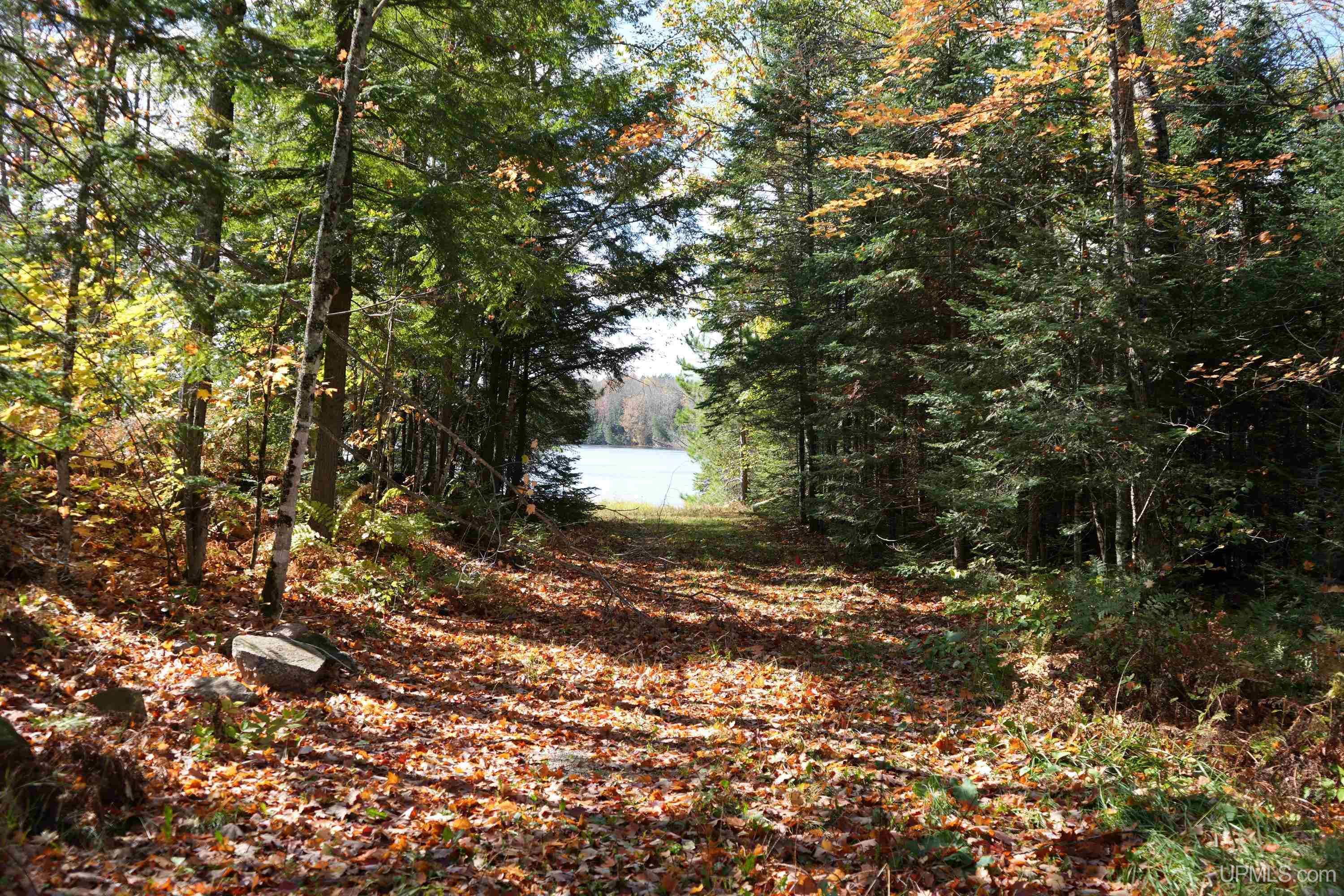 5800 Wolf Lake Road Property Photo 43