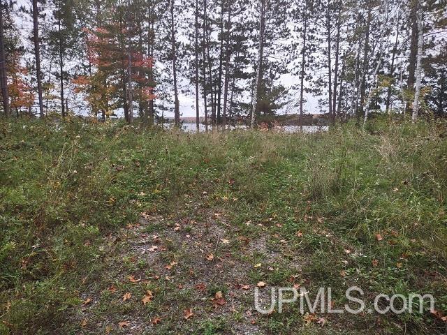 5800 Wolf Lake Road Property Photo 44