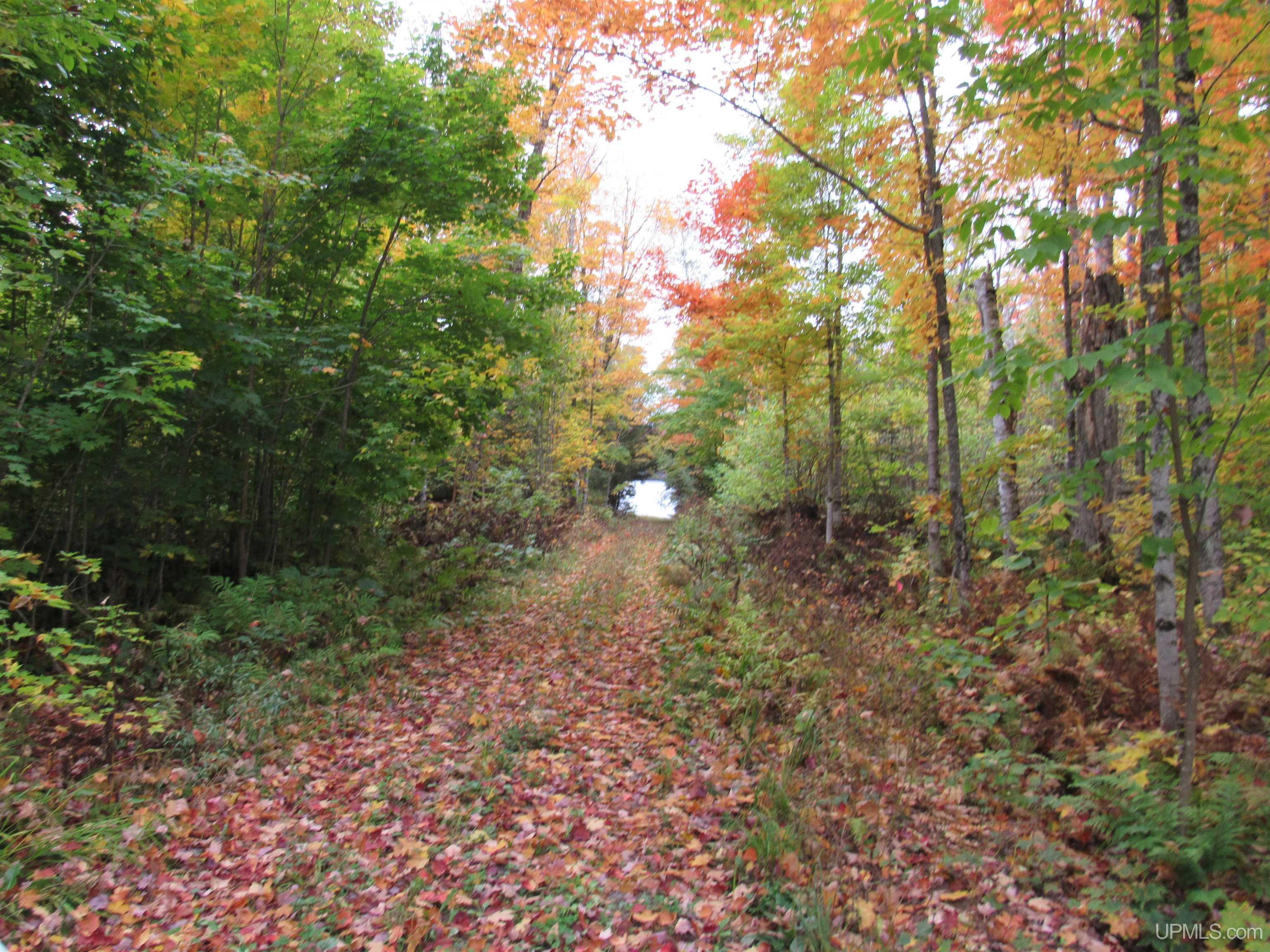 5800 Wolf Lake Road Property Photo 46