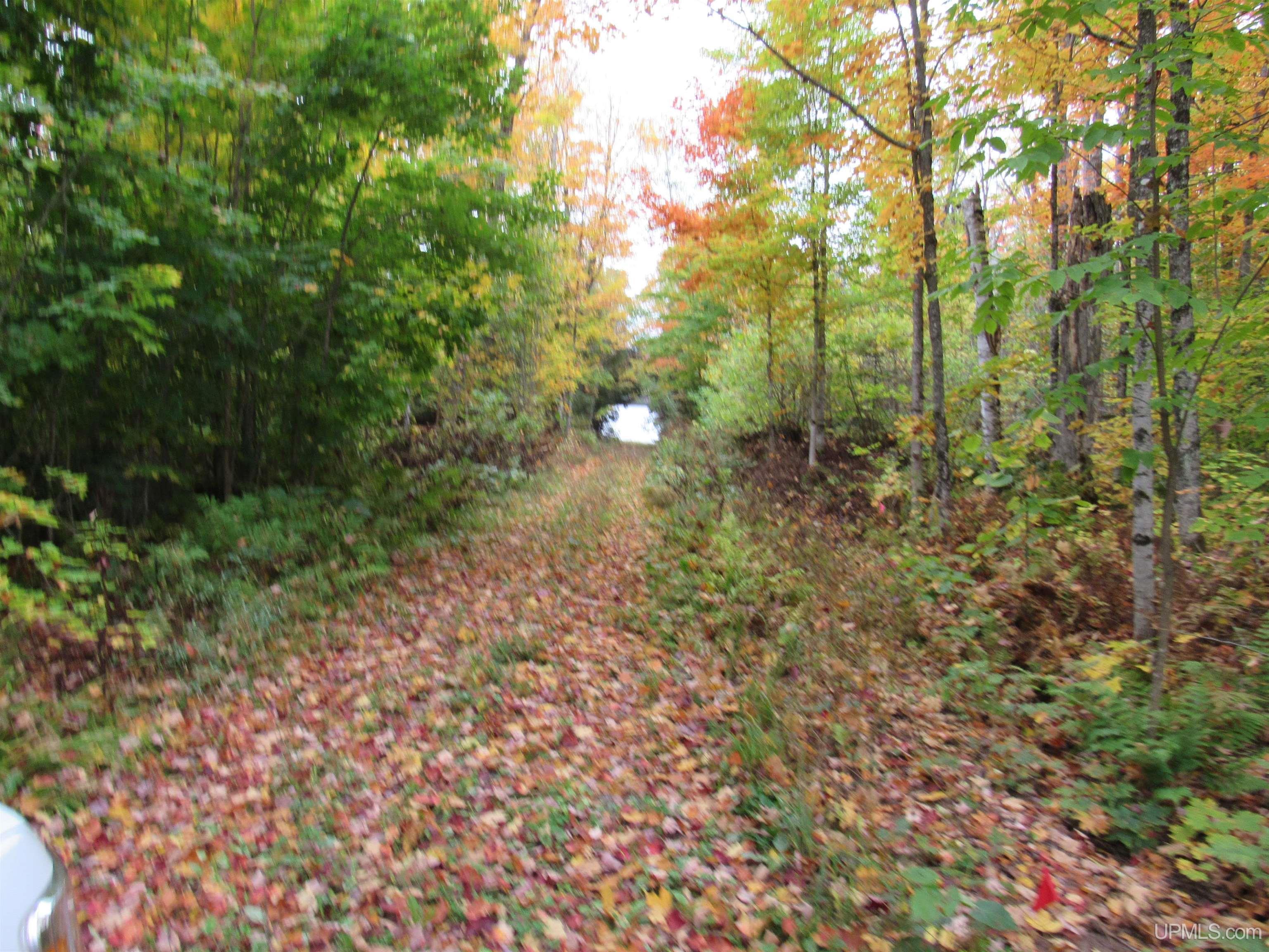 5800 Wolf Lake Road Property Photo 47