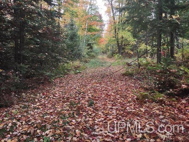 5800 Wolf Lake Road Property Photo 48
