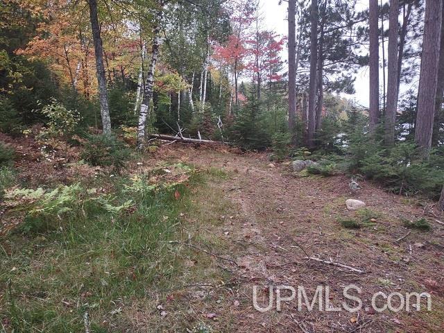 5800 Wolf Lake Road Property Photo 49