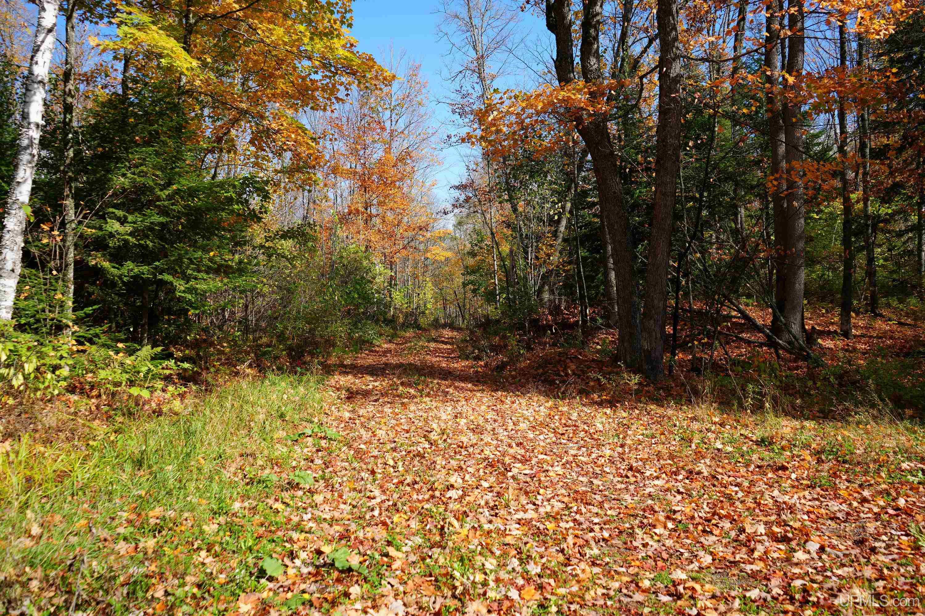 5800 Wolf Lake Road Property Photo 50