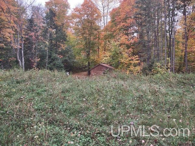 5800 Wolf Lake Road Property Photo 51