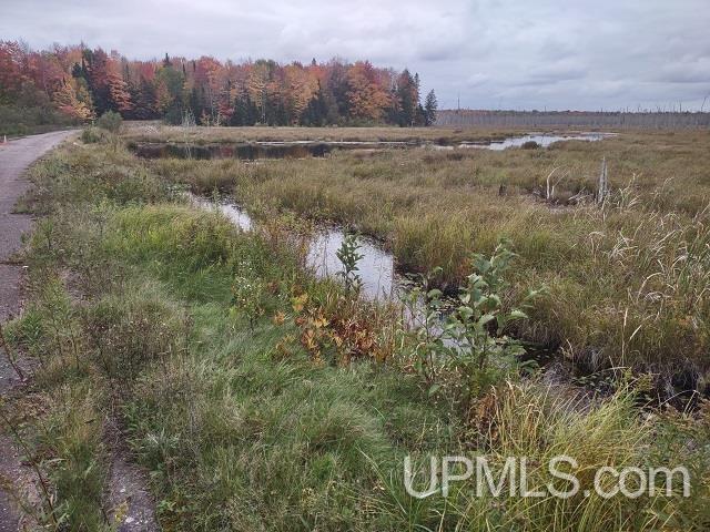 5800 Wolf Lake Road Property Photo 52