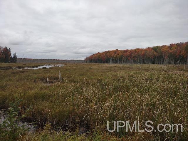 5800 Wolf Lake Road Property Photo 53