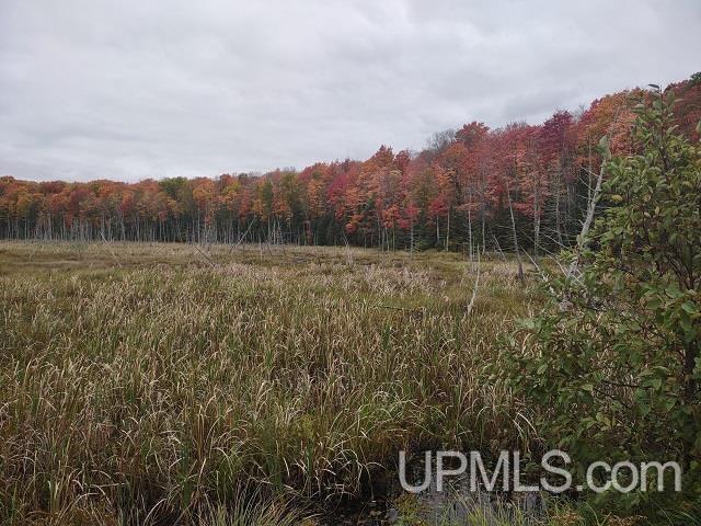 5800 Wolf Lake Road Property Photo 54
