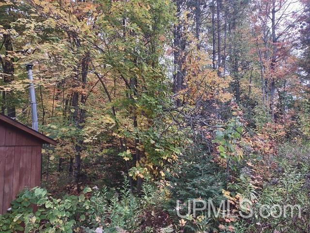5800 Wolf Lake Road Property Photo 56