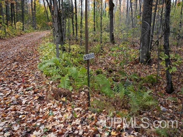5800 Wolf Lake Road Property Photo 58