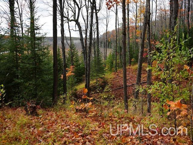 5800 Wolf Lake Road Property Photo 59