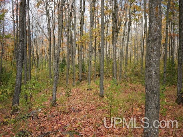 5800 Wolf Lake Road Property Photo 60