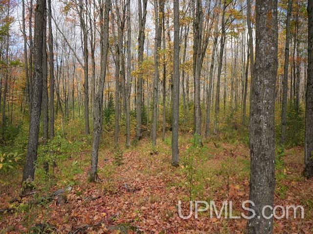 5800 Wolf Lake Road Property Photo 61