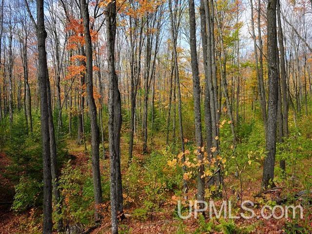 5800 Wolf Lake Road Property Photo 62