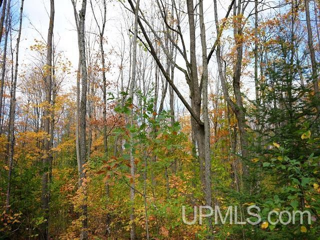 5800 Wolf Lake Road Property Photo 63