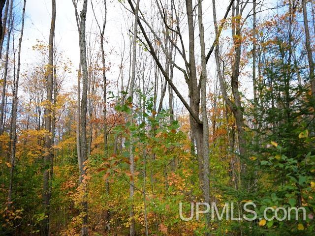 5800 Wolf Lake Road Property Photo 64
