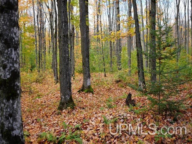 5800 Wolf Lake Road Property Photo 65