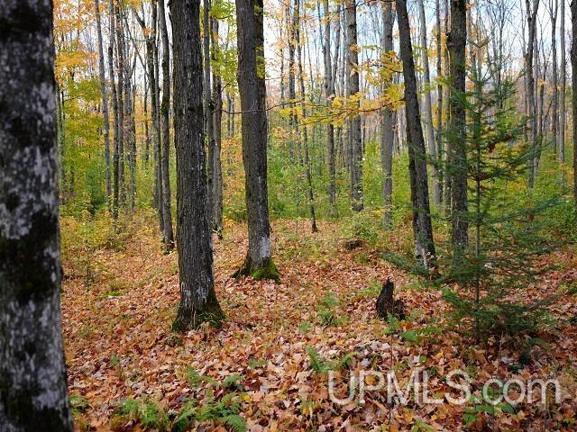 5800 Wolf Lake Road Property Photo 66