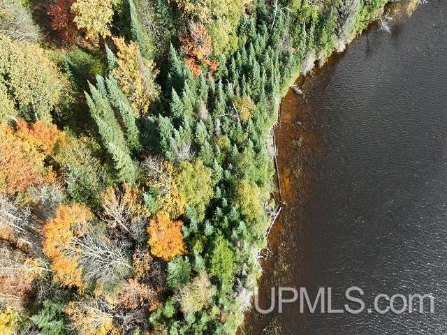 5800 Wolf Lake Road Property Photo 67