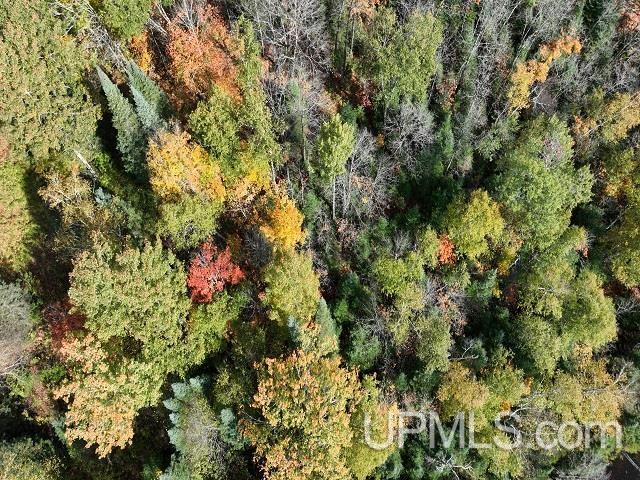 5800 Wolf Lake Road Property Photo 68