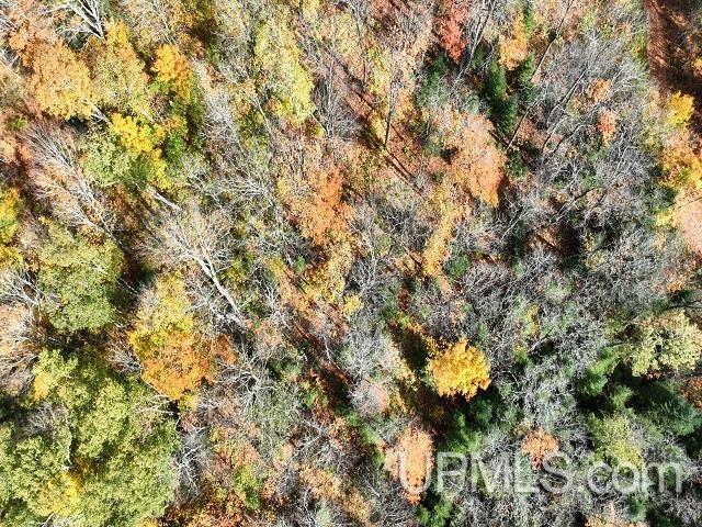5800 Wolf Lake Road Property Photo 69