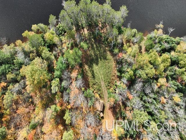 5800 Wolf Lake Road Property Photo 72