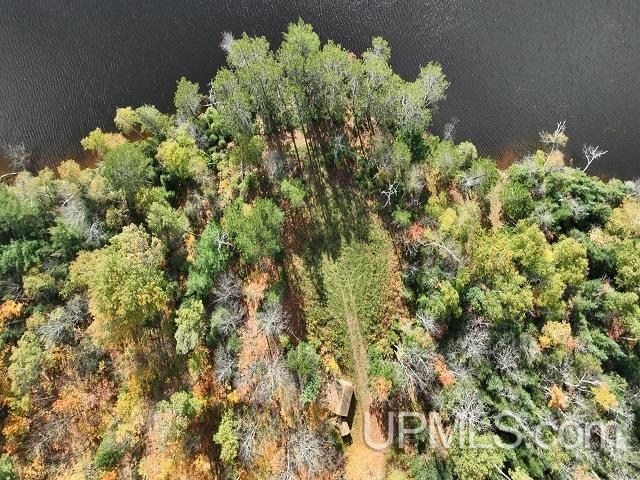 5800 Wolf Lake Road Property Photo 73