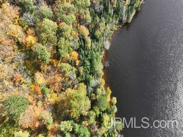 5800 Wolf Lake Road Property Photo 74
