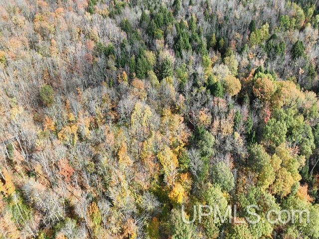 5800 Wolf Lake Road Property Photo 75