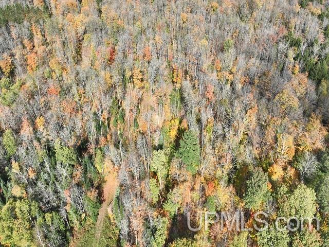 5800 Wolf Lake Road Property Photo 76