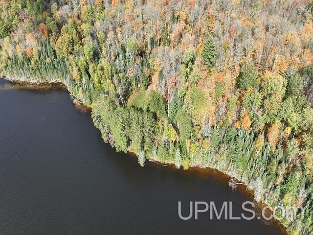 5800 Wolf Lake Road Property Photo 78