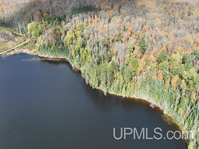 5800 Wolf Lake Road Property Photo 79