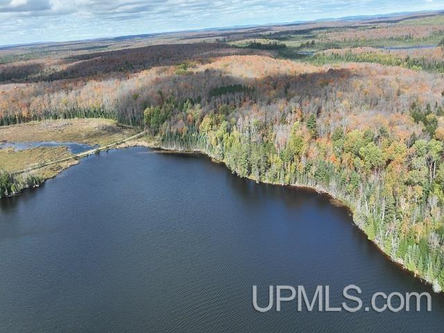 5800 Wolf Lake Road Property Photo 81