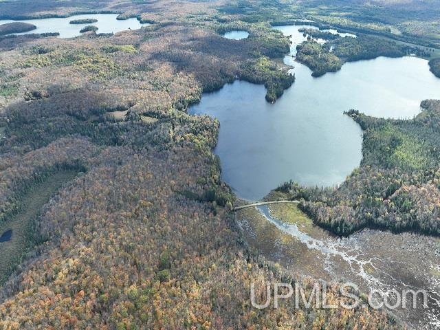 5800 Wolf Lake Road Property Photo 84