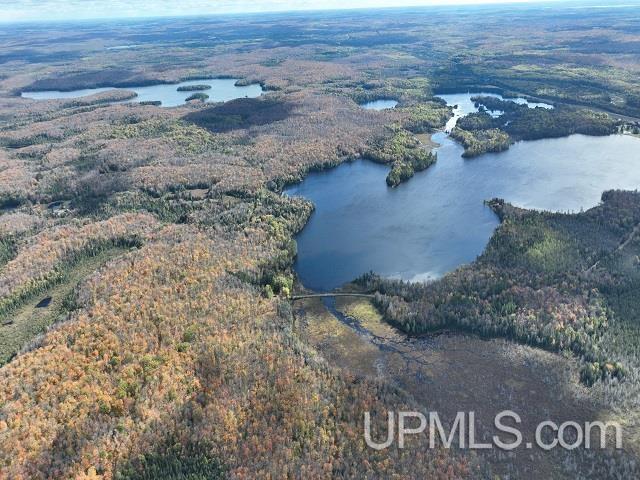 5800 Wolf Lake Road Property Photo 85