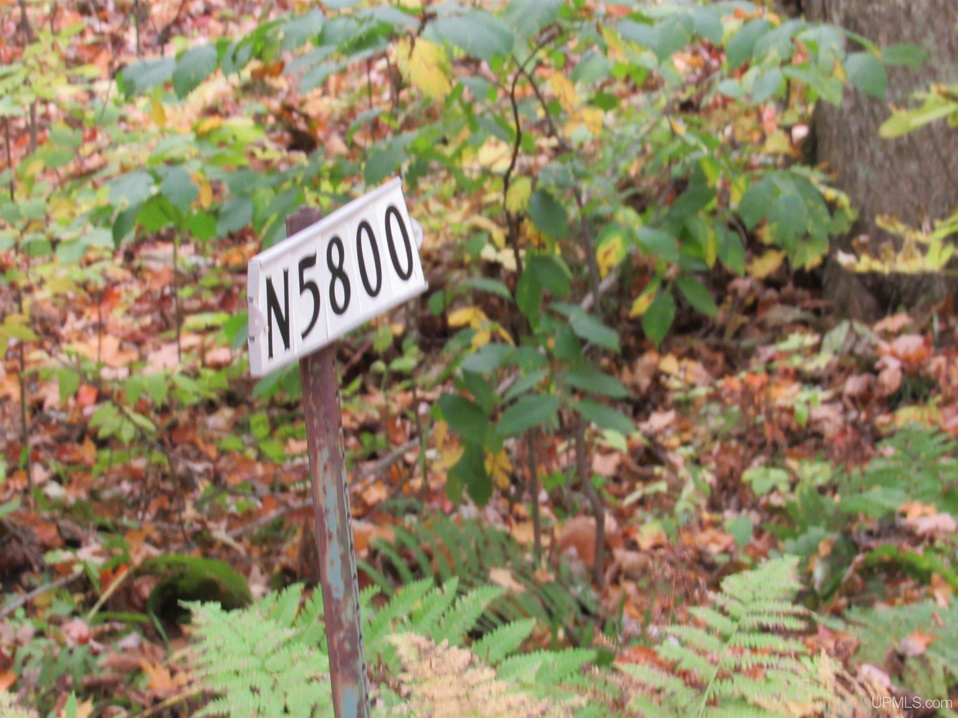 5800 Wolf Lake Road Property Photo 86