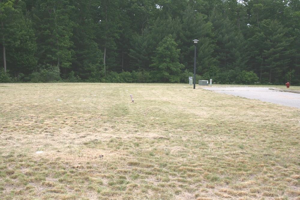50126895 Property Photo 7