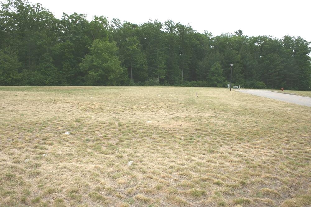 50126895 Property Photo 8