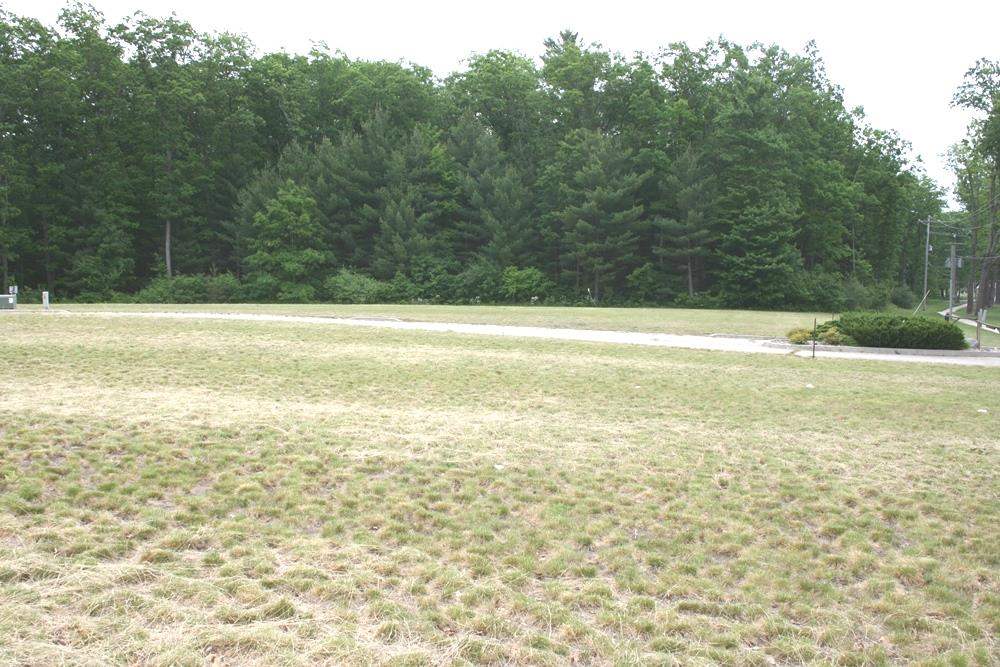 50126895 Property Photo 13