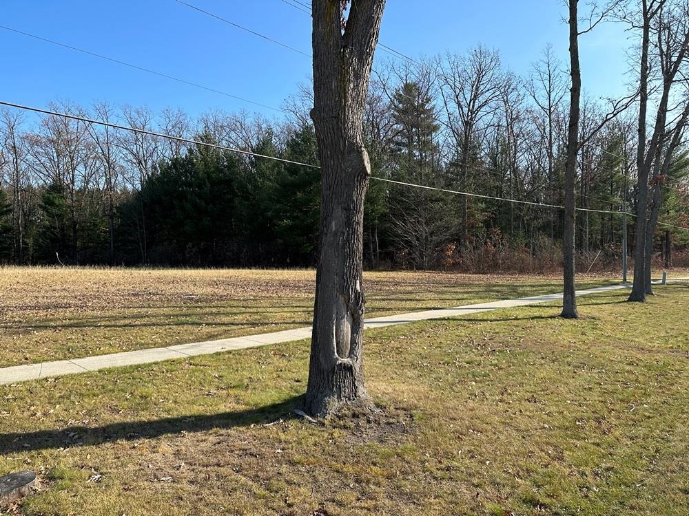 50126898 Property Photo 5