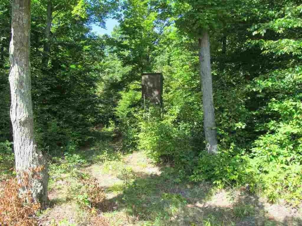 5560 N 3 Road Property Photo 6
