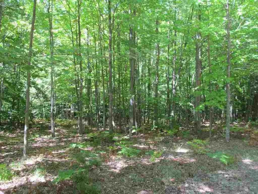 5560 N 3 Road Property Photo 8