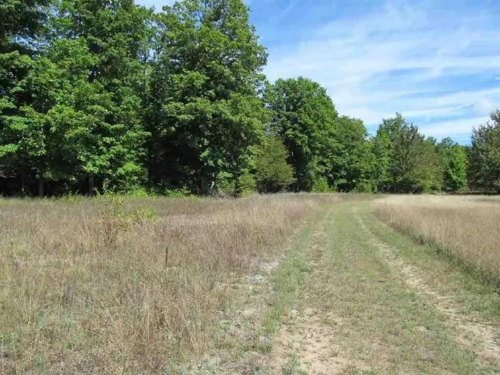 5560 N 3 Road Property Photo 13