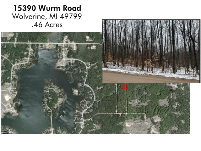 15390 Wurm Road Drive Property Photo 2