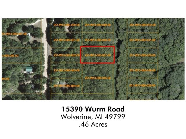15390 Wurm Road Drive Property Photo 5
