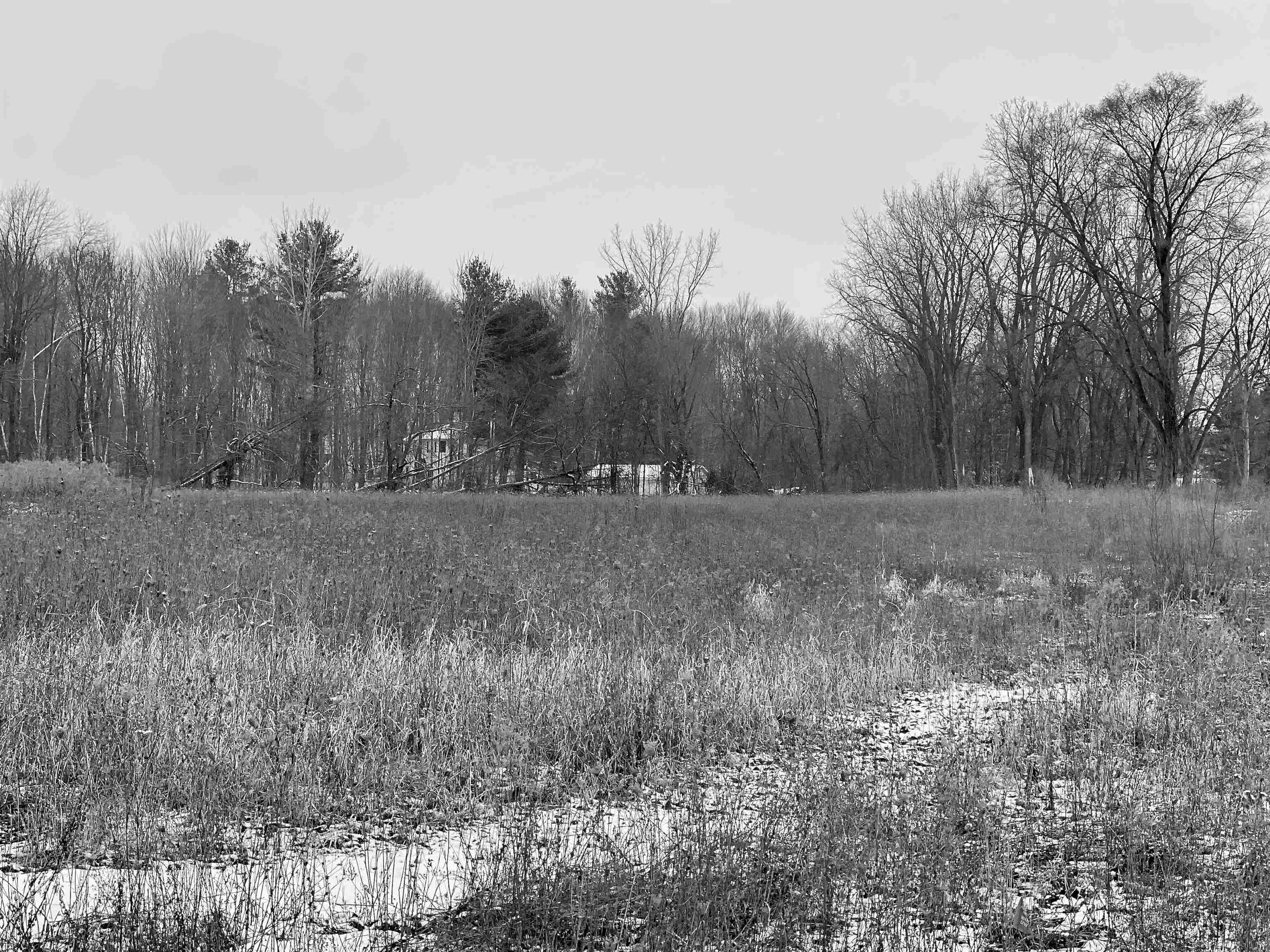 A Wilkinson Road Property Photo 2