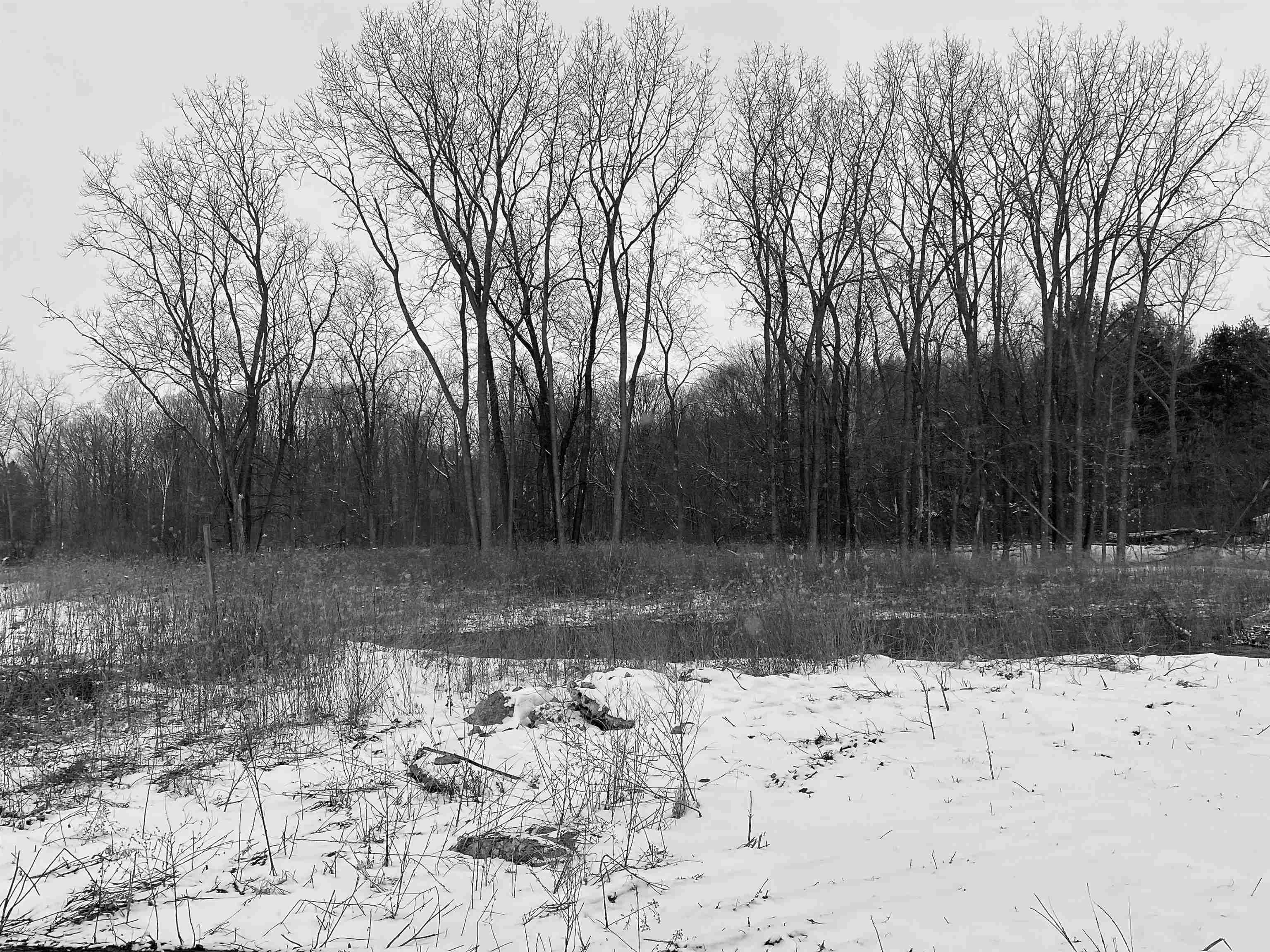 #18 Eagle Forest Drive Property Photo 3